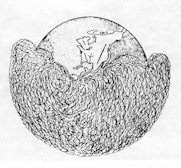 Le brouillard dense se dissipe